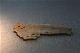 新石器時代卜骨